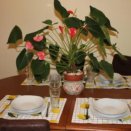 Daire Palheiro Funchal