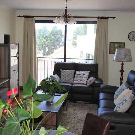 Apartment Palheiro *